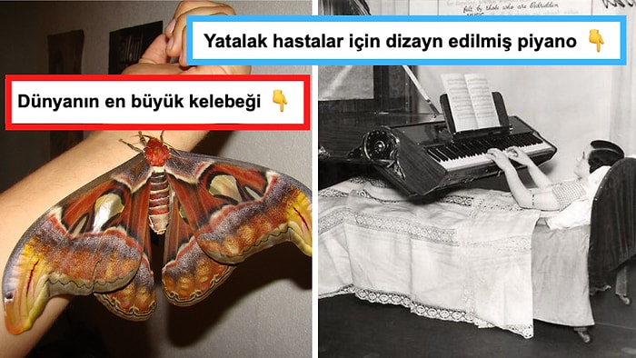 İnternete Bugün Verdiğiniz Paranın Hakkını Kuruşuna Kadar Verecek 15 İlginç Görsel