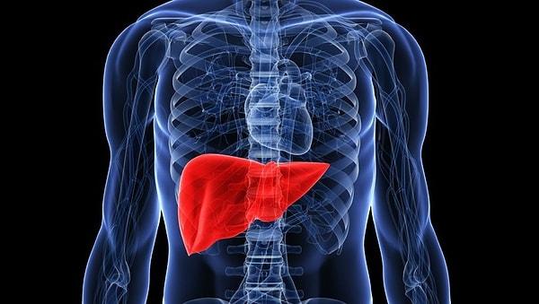 ANI News'in haberine göre, İngiltere'deki Roger Williams Hepatoloji Enstitüsünden bilim insanları, alkol kaynaklı olmayan karaciğer yağlanmasının beyin üzerindeki etkilerini inceledi.
