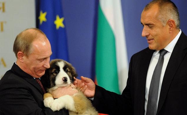 14. Vladimir Poutine de Bulgarie a reçu un adorable chiot berger allemand.