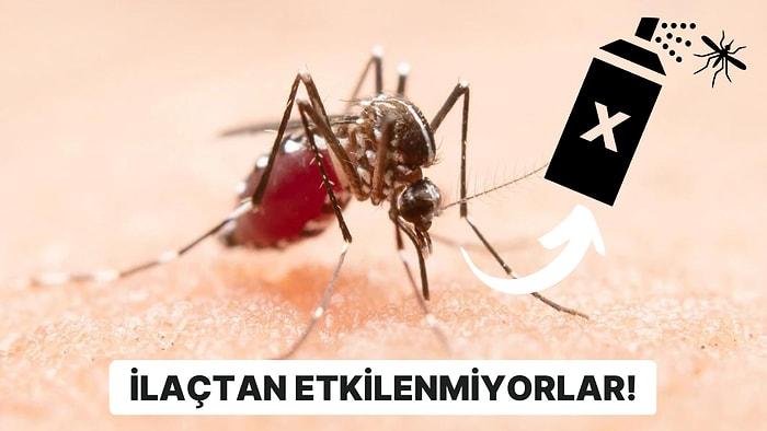 Vietnam ve Kamboçya'da Birçok Sivrisinek Türü Böcek İlaçlarına Karşı Direnç Kazandı!