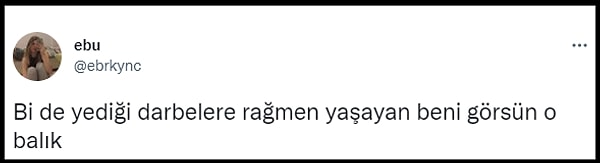 👇