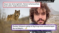 Dağ Başında Kurtla Karşılaşan Fotoğrafçıya Yapılan Beyin Yakan Yorum Alay Konusu Oldu!