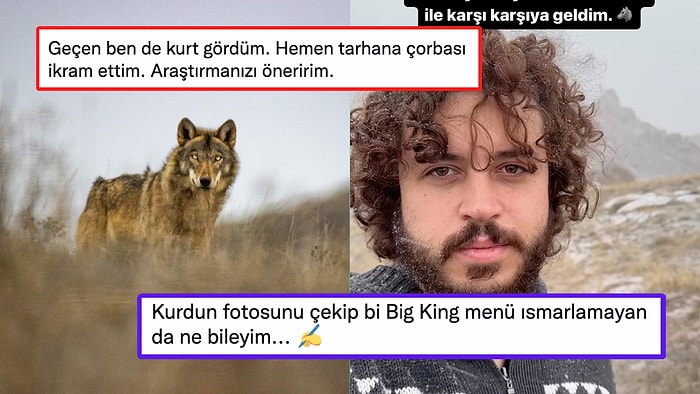 Dağ Başında Kurtla Karşılaşan Fotoğrafçıya Yapılan Beyin Yakan Yorum Alay Konusu Oldu!