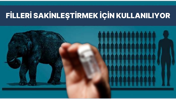 25 Gramı Bile Yaklaşık 1 Milyon İnsanı Öldürebilecek Güçte Olan Dünyanın En Tehlikeli Kimyasalı: Karfentanil