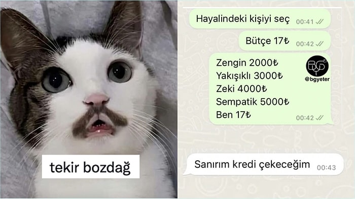 Ekstra Bıyıklı Kediden Flört Esnasında Enflasyona Yenik Düşenlere Son 24 Saatin Viral Tweetleri