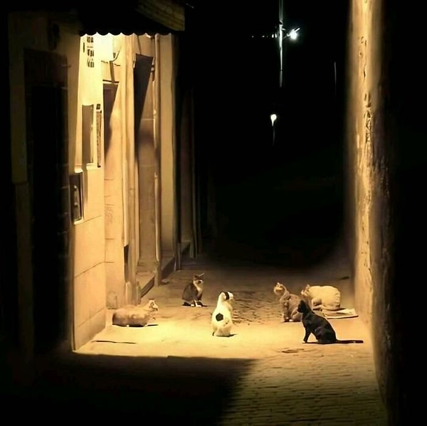 3. Интересно, что они обсуждают...