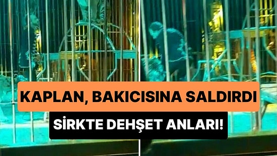 Sirk Gösterisi Sırasında Kaplanın Saldırısına Uğrayan Bakıcının Dehşet Anları