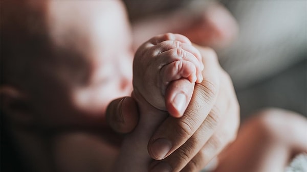 Hollanda Sosyal Güvenlik Kurumu (SVB) verilere göre,  "Muhammed", erkek bebeklere en çok verilen isimlerin arasında ikinci sırada. Geçen yıl toplam 671 bebeğe bu isim verildi.