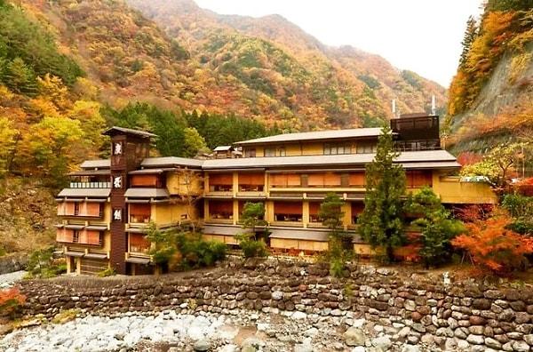 17. Dünyanın en eski oteli, Japonya'da bulunan Nishiyama Onsen Keunkan Oteli M.S. 705'den beri vardır. Tam elli iki kuşaktır aynı aile tarafından işletilmektedir.