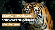 Bilinçaltında Gizlenen Seni Yöneten İçgüdüyü Söylüyoruz!