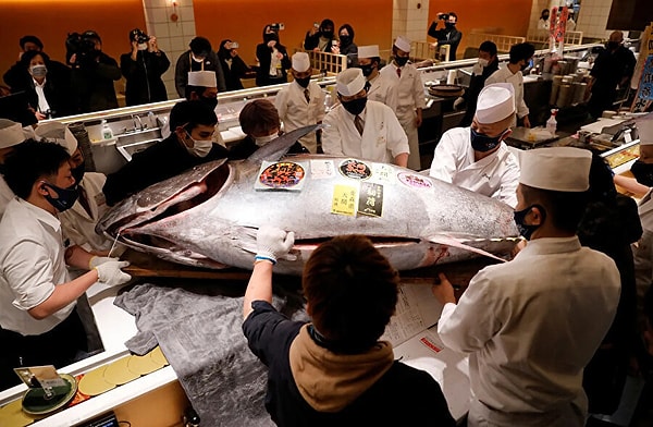 Toyosu balık pazarında her yeni yıl tatilinde dünyanın dört bir yanından ziyaretçi bulunduran Japonya, izleyenin de katılanın da muazzam derecede eğlendiği açık artırmalar yapıyor.