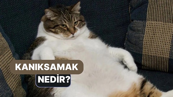 Duyarsız Hale Getirilmek: Kanıksamak Nedir?