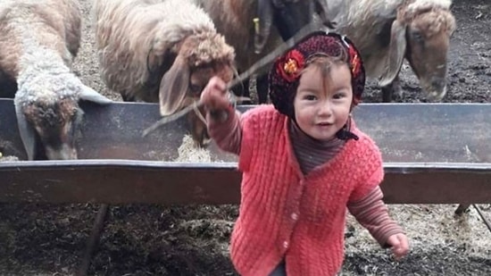 Müslüme Yağal Cinayeti: Dedesi, Annesine de Cinsel Saldırıda Bulunmuş