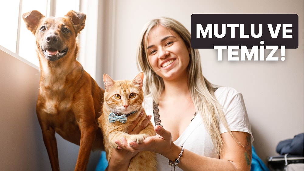 Evde Patili Dostu Olanların Yardımına Koşacak Ürünler