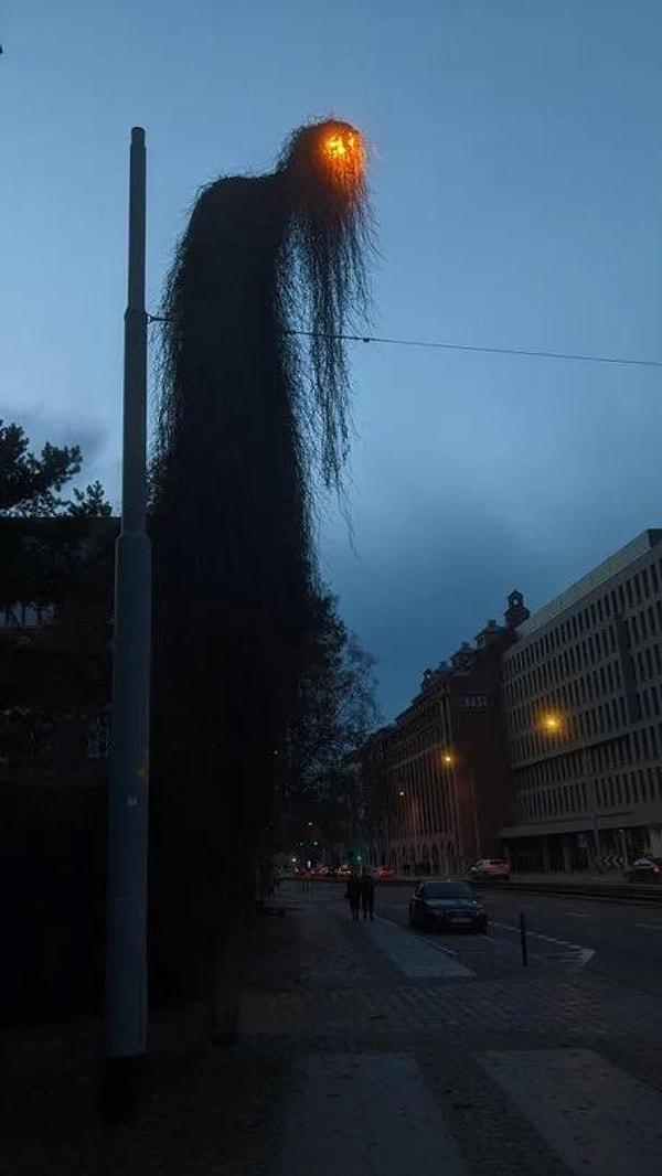 20. Polonya'daki bir sokak lambası 👇
