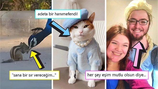 Gördüğünüz Anda İçinizin Yağlarını Eritip Sizi Pamuk Gibi Yapacak Birbirinden Etkileyici 17 Görsel