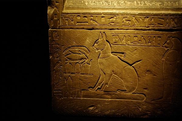 2. Antik Mısır'da insanlar kedileri öldüğünde kaşlarını kazıyarak yas tutuyorlardı.