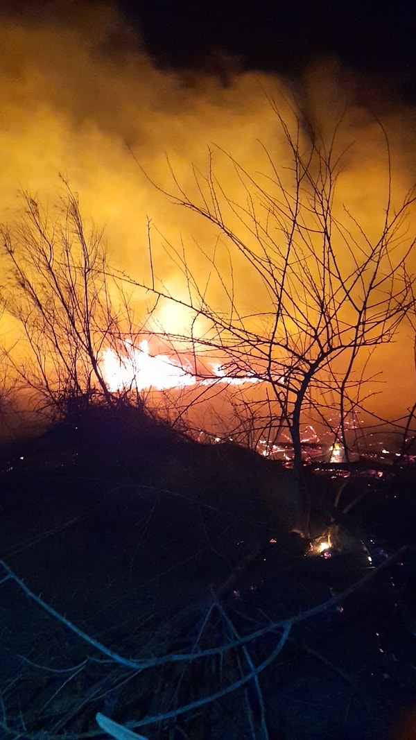 Yangın, dün saat 20.30’da Kırmıtlı köyü yakınında bulunan Kastabala Kuş Cenneti’nde başladı.