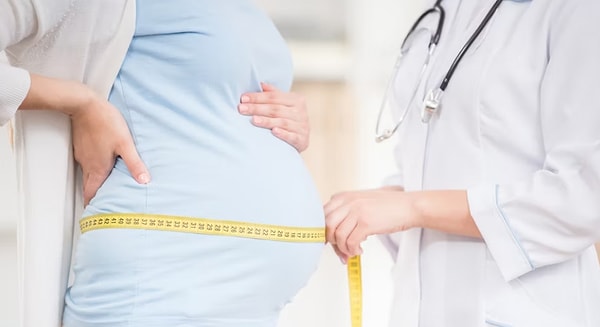 8. Какой из этих органов увеличивается в размерах во время беременности?