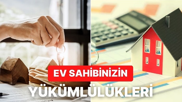 Yeni Eve Çıkacaklar Buraya: Kiraladığınız Evin Sahibinin Yükümlülükleri Nelerdir?