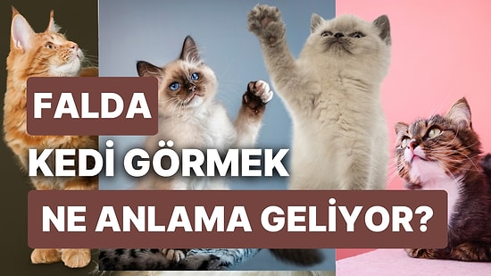 Falda Kedi Görmek Ne Anlama Gelir? Uğurusuzluk Deyip Geçmeyin, Şansınız Dönebilir!