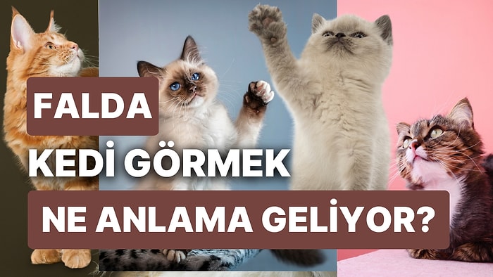 Falda Kedi Görmek Ne Anlama Gelir? Uğurusuzluk Deyip Geçmeyin, Şansınız Dönebilir!