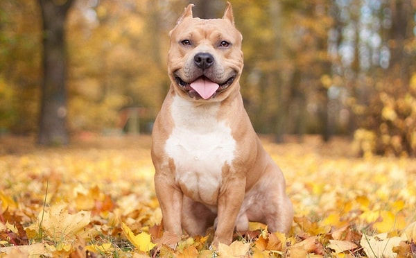 5. А это у нас кто?