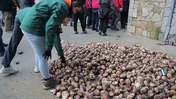 Yaklaşık 1500 nüfuslu Piornal kasabasında her yıl 19-20 Ocak'ta düzenlenen festival, bölge halkı için onur kaynağı olarak görülüyor.