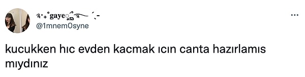 14. Siz hiç kaçmış mıydınız?