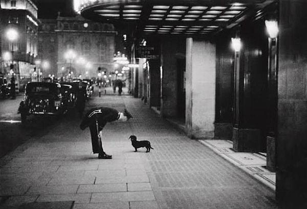 3. Bir otel güvenlik görevlisi, Dakhund cinsi bir köpek ile konuşuyor. (Piccadilly Circus, Londra 1938)