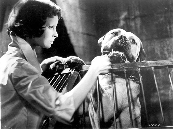 32. Eyes Without A Face (1959)