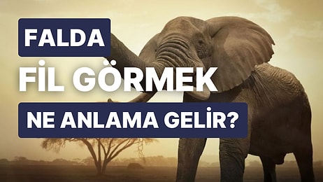 Falda Fil Görmek Ne Demektir? Güvendiğiniz İnsanlar Gerçekten Güveni Hak Ediyor mu?