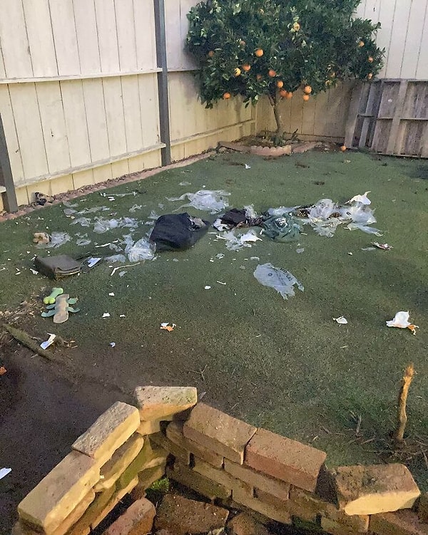 16. «Недавно попробовал подписку на дорогую одежду напрокат. Почтовые курьеры бросили пакеты с вещами мне на задний двор. А у там меня там два щенка»