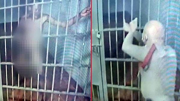 Rusya'daki bir hapishanede kaydedildiği öne sürülen görüntüler sosyal medyada viral oldu. Koğuşta çıplak şekilde cinsel organıyla oynayan mahkum, gardiyanın ilginç cezasına maruz kaldı.