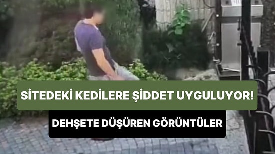 Site İçindeki Kedilere Düzenli Olarak Şiddet Uygulayan Kişinin Dehşete Düşüren Görüntüleri