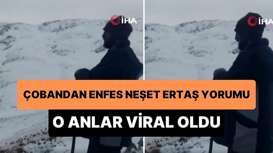 Neşet Ertaş'ın 'Şad Olup Gülmedim' Türküsünü Dağlara Haykıran Çoban Tarık Kara'nın Muhteşem Anları