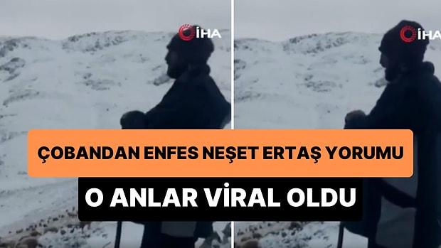 Neşet Ertaş'ın 'Şad Olup Gülmedim' Türküsünü Dağlara Haykıran Çoban Tarık Kara'nın Muhteşem Anları
