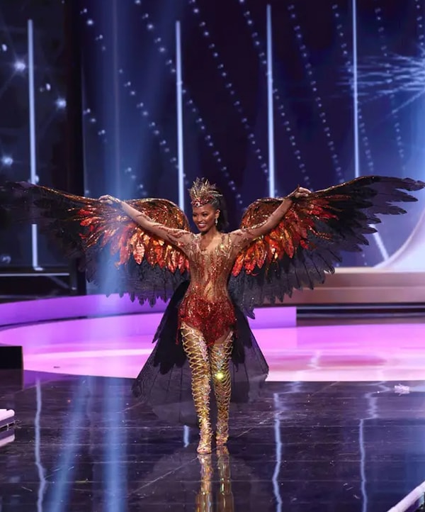 В 2020-ом мисс США стала восставшим из пепла фениксом. Ну или просто сорокой, которая натаскала себе страз