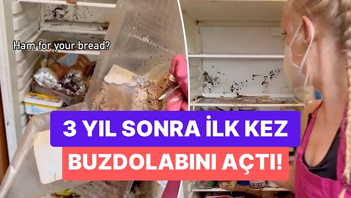 3 Yıldır Açılmayan Buzdolabının Kapağını Açan Kadının Karşılaştığı Mide Bulandırıcı Görüntüler