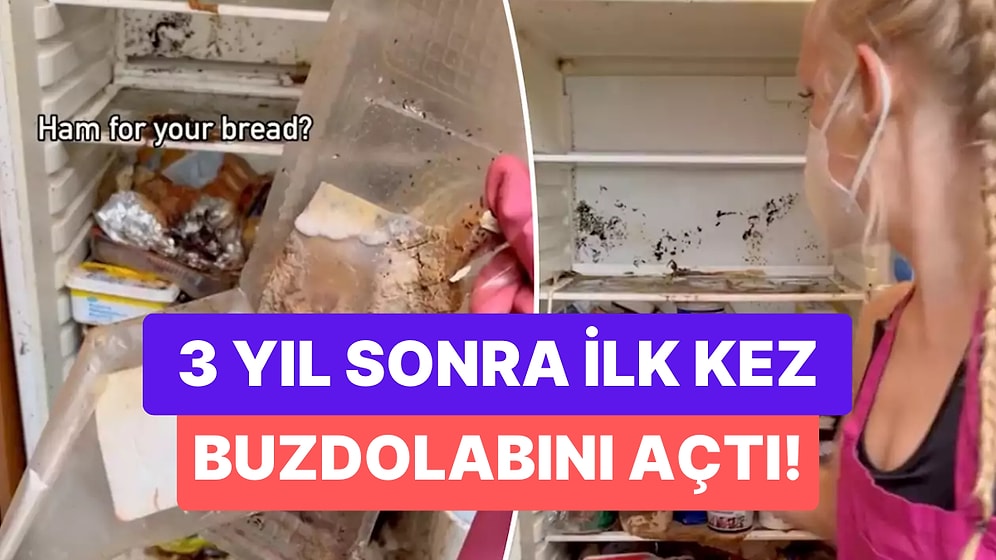 3 Yıldır Açılmayan Buzdolabının Kapağını Açan Kadının Karşılaştığı Mide Bulandırıcı Görüntüler