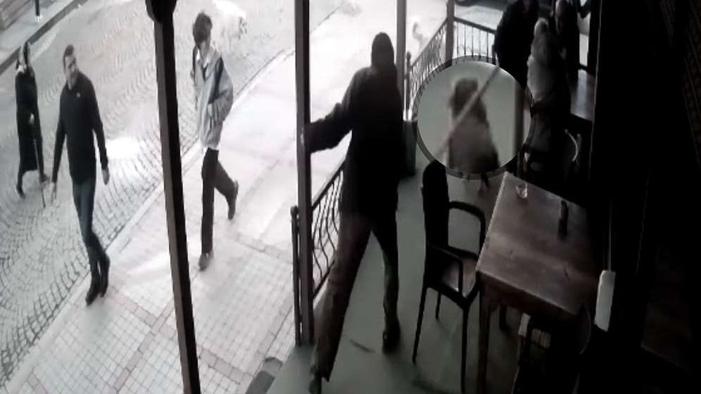 Hayvana Şiddet Bitmiyor: Elindeki Değnekle Köpeğe Defalarca Vurdu