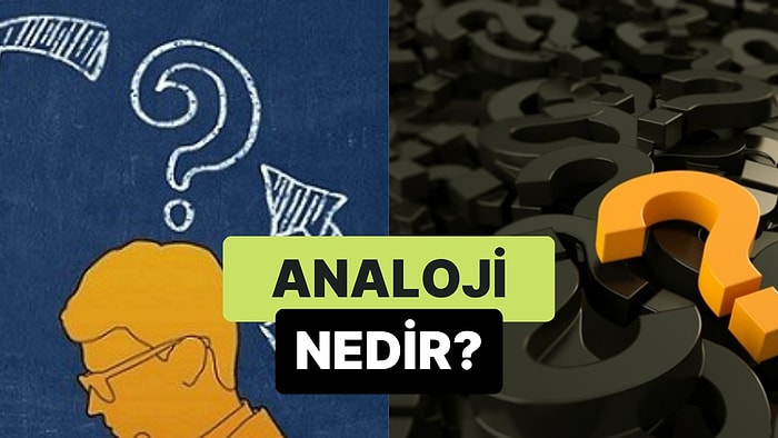 Birbirine Benzeyen Özelliklerden Yola Çıkarak Akıl Yürütme: Analoji Nedir?