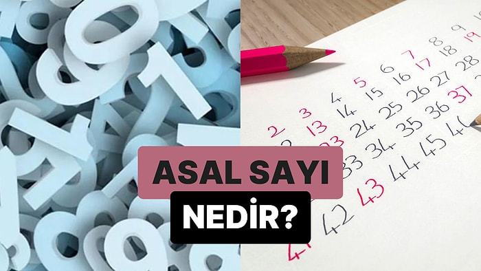Yalnızca İki Pozitif Tam Sayı Böleni Olan Doğal Sayılar: Asal Sayı Nedir?