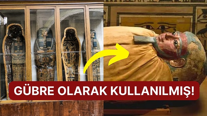 Tıbbi İlaçlardan Dekorasyon Eşyasına Antik Mısır Mumyalarının 9 Absürt Kullanım Alanı