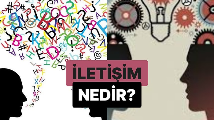 Organizmanın Çeşitli Yollarla Bilgi Alışverişi Yapması: İletişim Nedir?