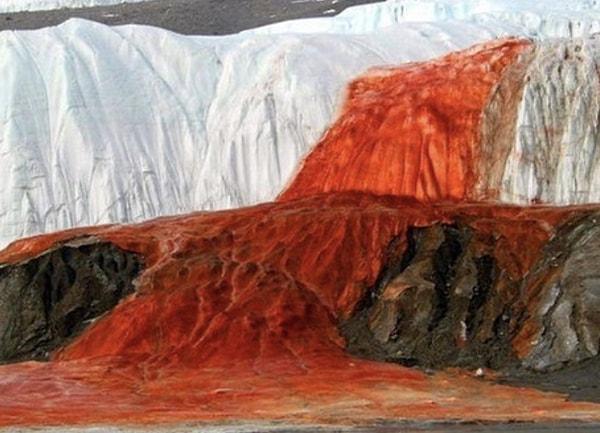 3. Antarktika’da kan şelalesine benzeyen bir buzul bulunmaktadır.