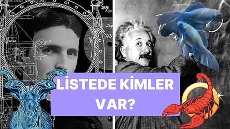 Burcunuz Zeka Seviyenizi Etkiliyor Olabilir: Einstein'ı Bile Sollayabilecek IQ'su En Yüksek 6 Burç Açıklandı