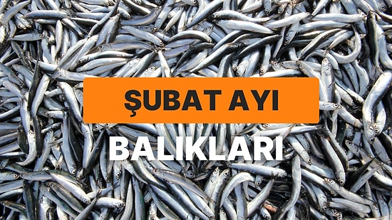 Omega 3 Deposu Olan Sofralarınızdan Eksik Etmeyeceğiniz Şubat Ayı Balıkları Rehberi