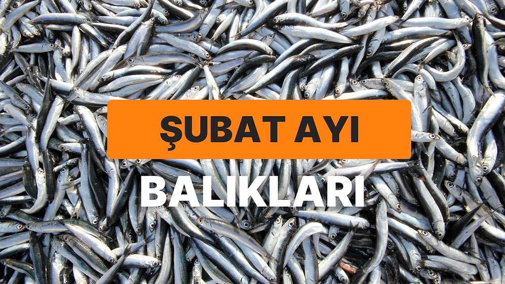 Omega 3 Deposu Olan Sofralarınızdan Eksik Etmeyeceğiniz Şubat Ayı Balıkları Rehberi