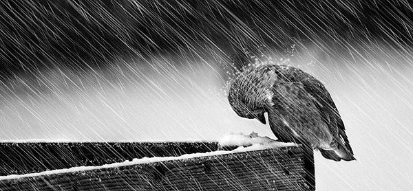 10. Даже когда у меня все хорошо, я знаю, что это ненадолго.